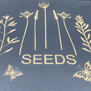 Seed Box for Perfect Storage